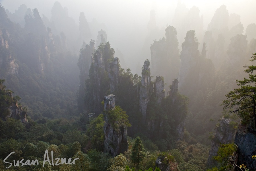 Zhangjiajie National Forest Park, China