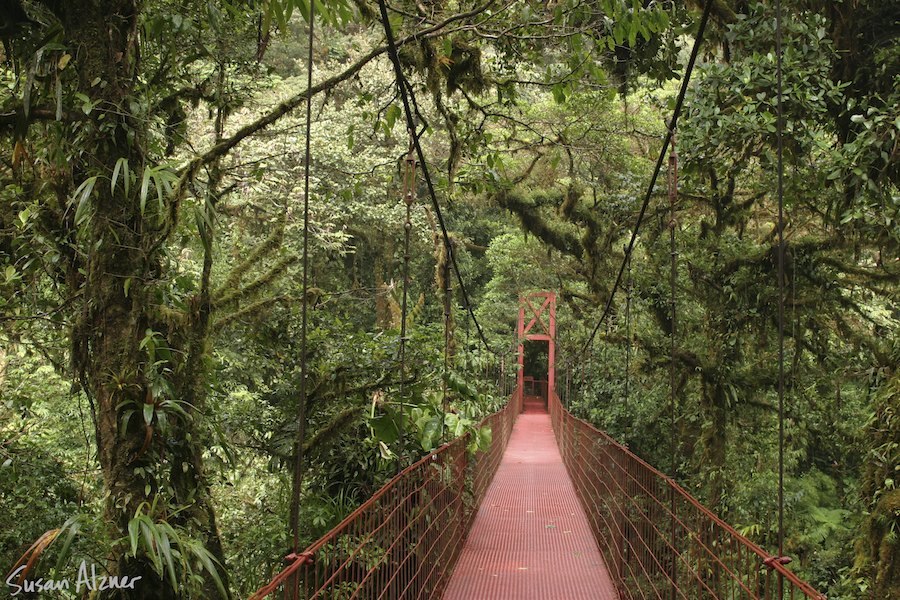 Monteverde Cloud Forest, Costa Rica