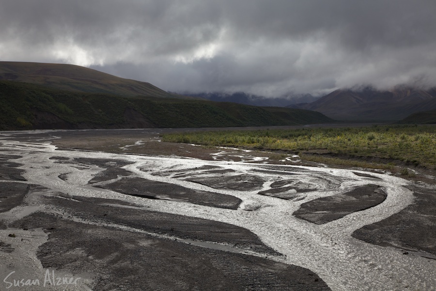 Denali National Park, Alaska