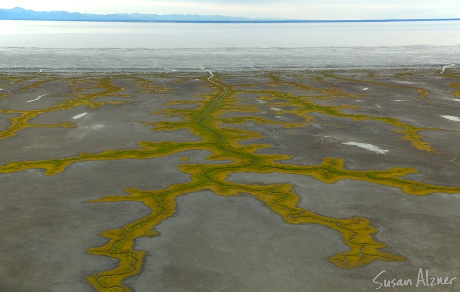 Shoreline of Knik Arm near Anchorage, Alaska