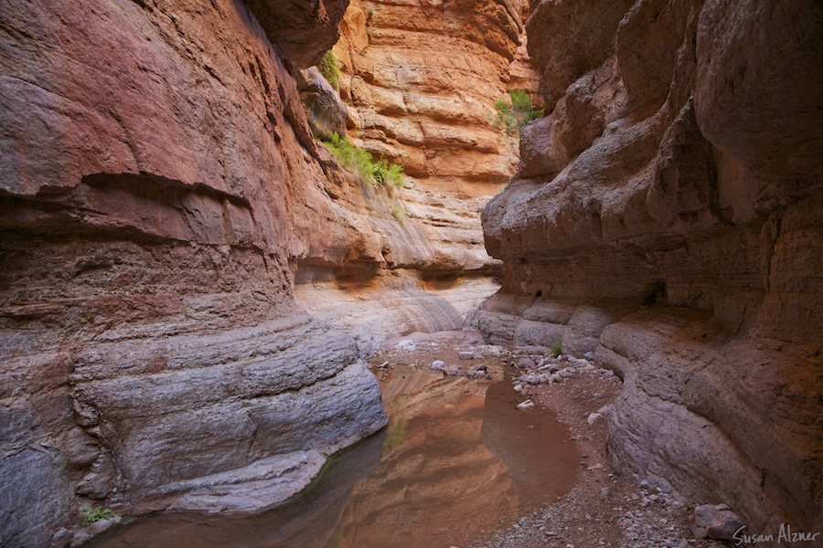 Grand Canyon