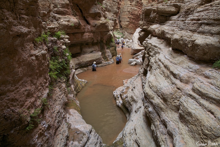 Grand Canyon