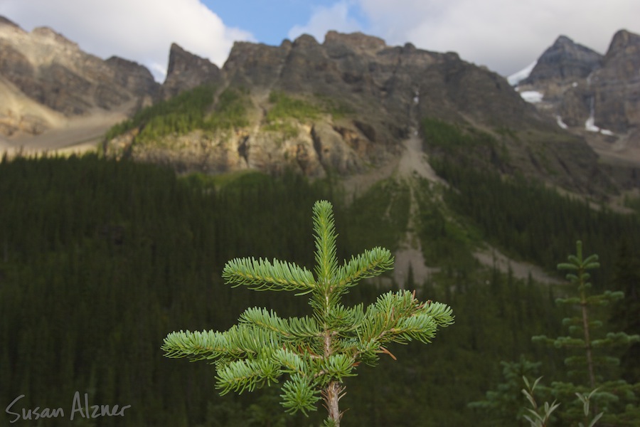 Banff National Park, Canadian Rocky Mountains