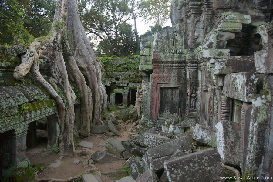 Ta Prohm, Siem Reap, Cambodia