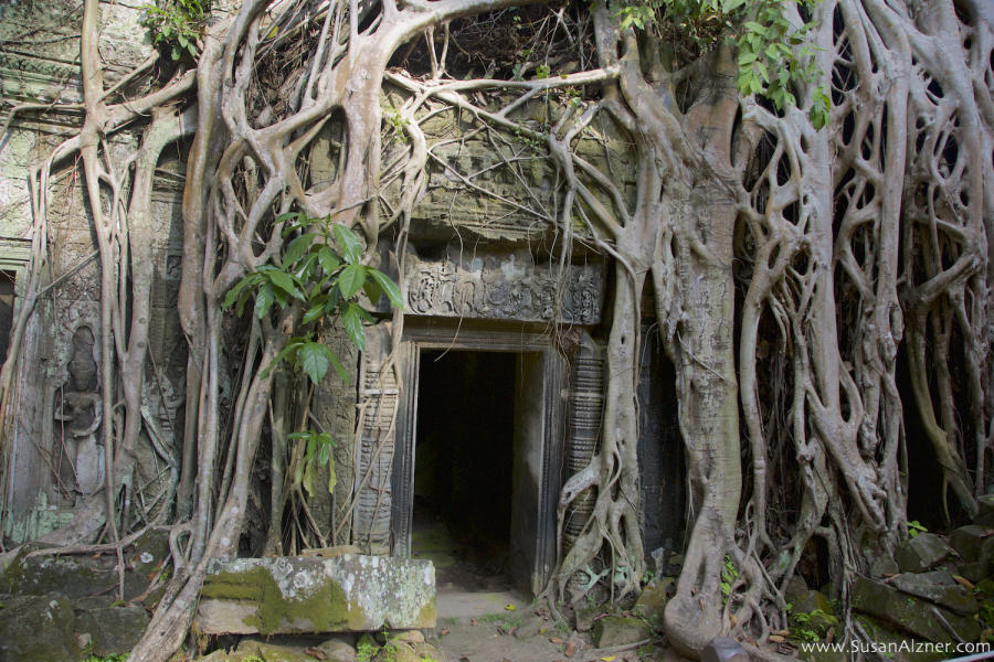 Ta Prohm, Siem Reap, Cambodia